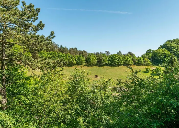 3 Bedroom Lovely In Feriehus *